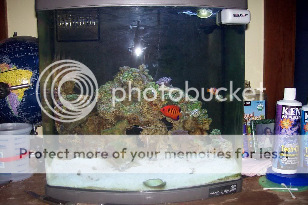 aquarium022.jpg