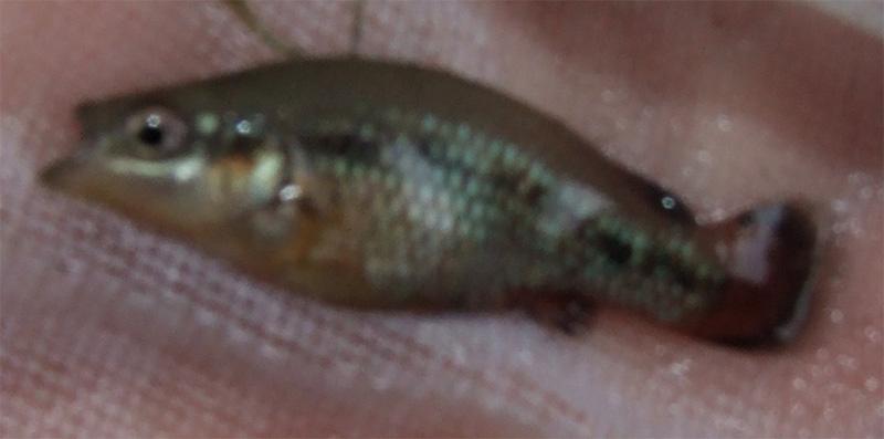 200871919425_3_Medium.jpg