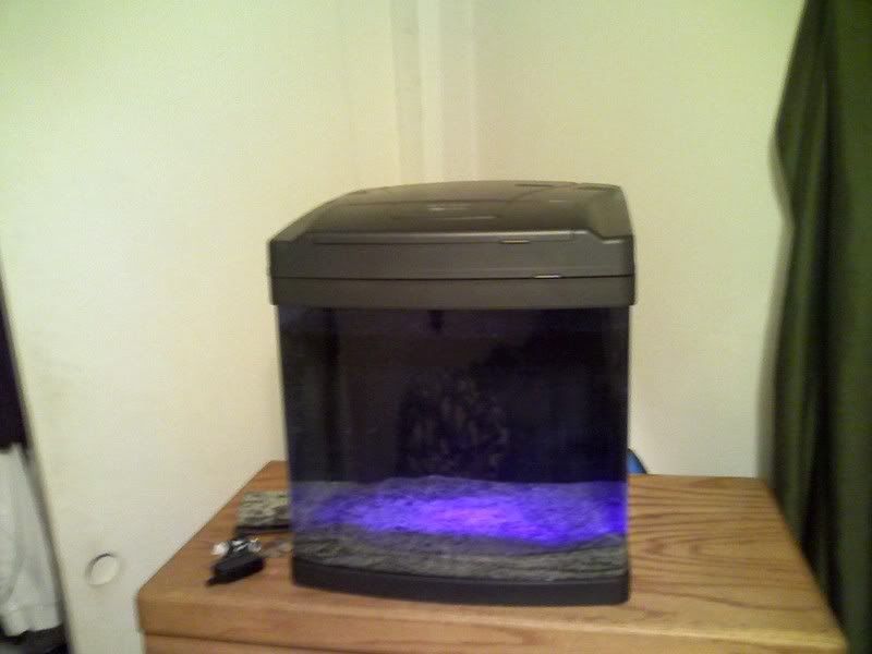 fishtank1.jpg