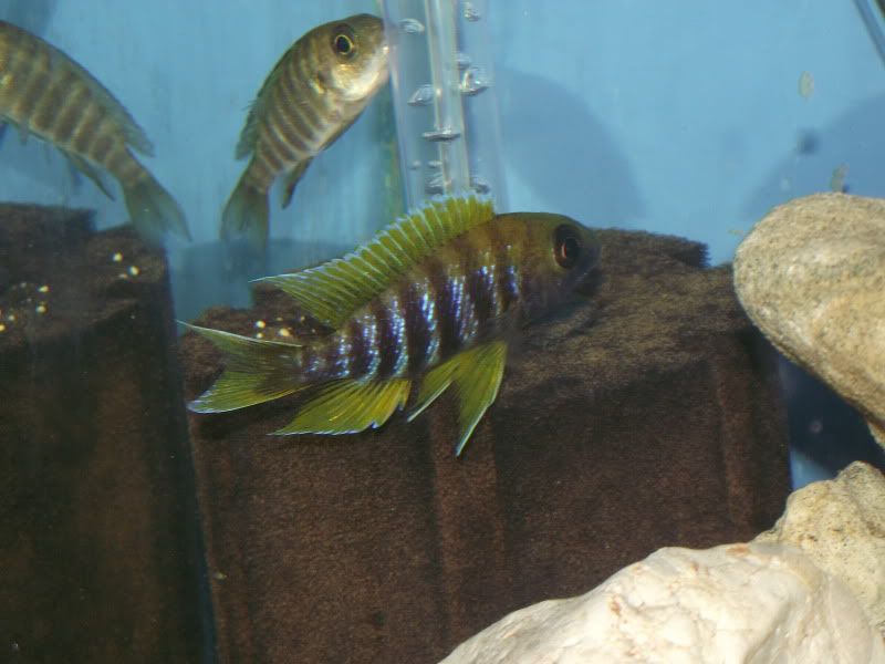 DSCF5860.jpg