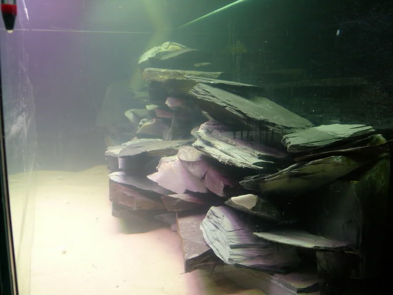 P1000881.jpg