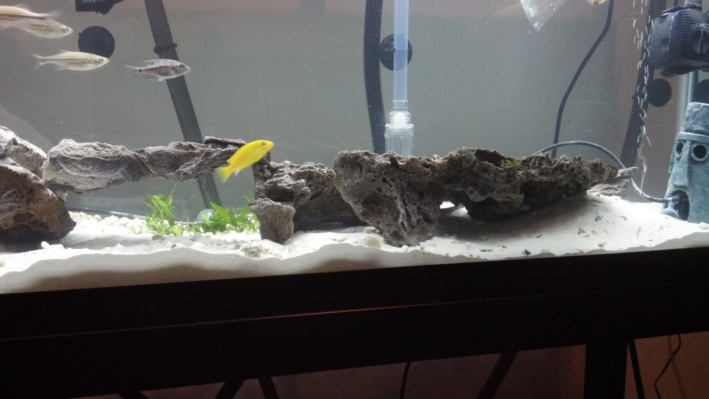 2012-04-07_23-28-29_915.jpg
