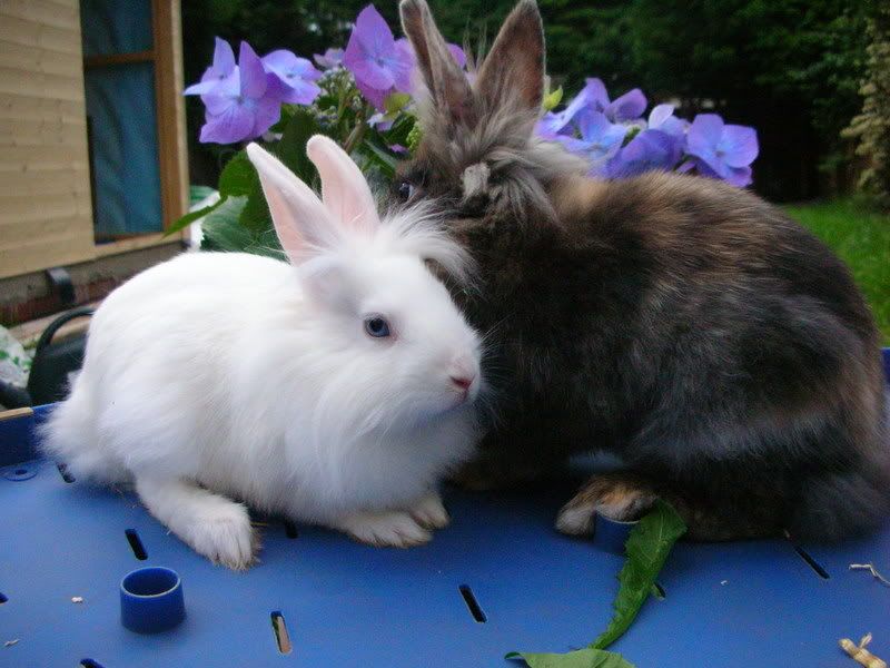 May2007020.jpg