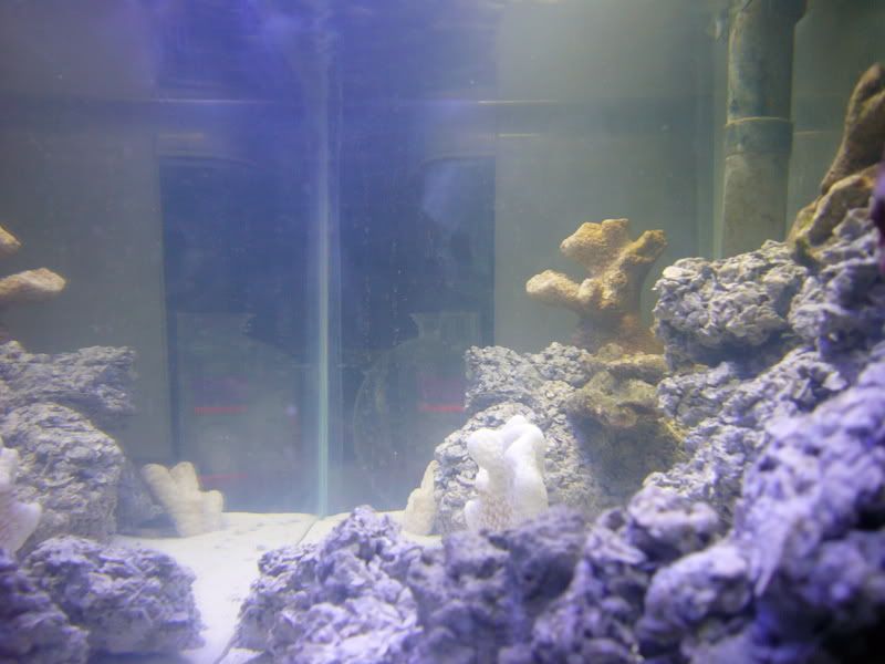 P1000626.jpg