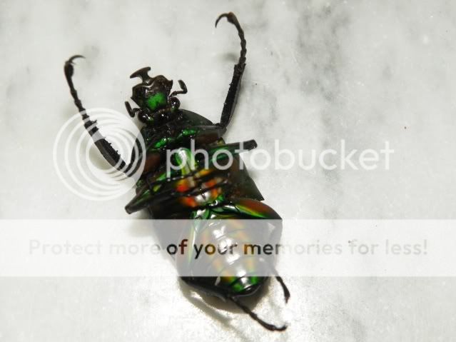 20120229_14.jpg