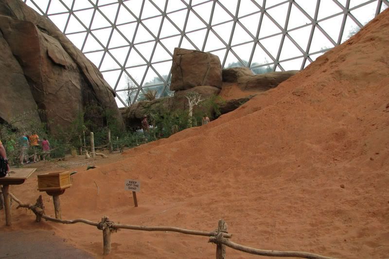 DesertDome1.jpg