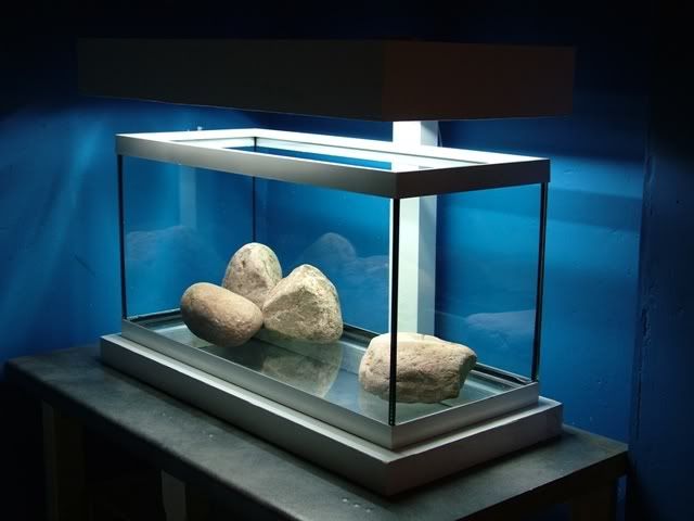 DSCF0784.jpg