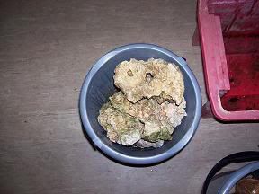 axxa034.jpg
