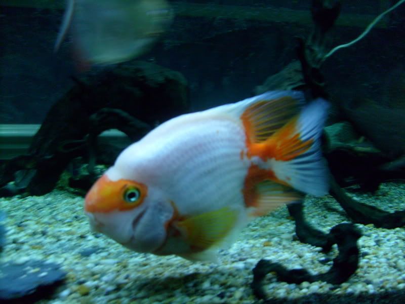 S7300457.jpg