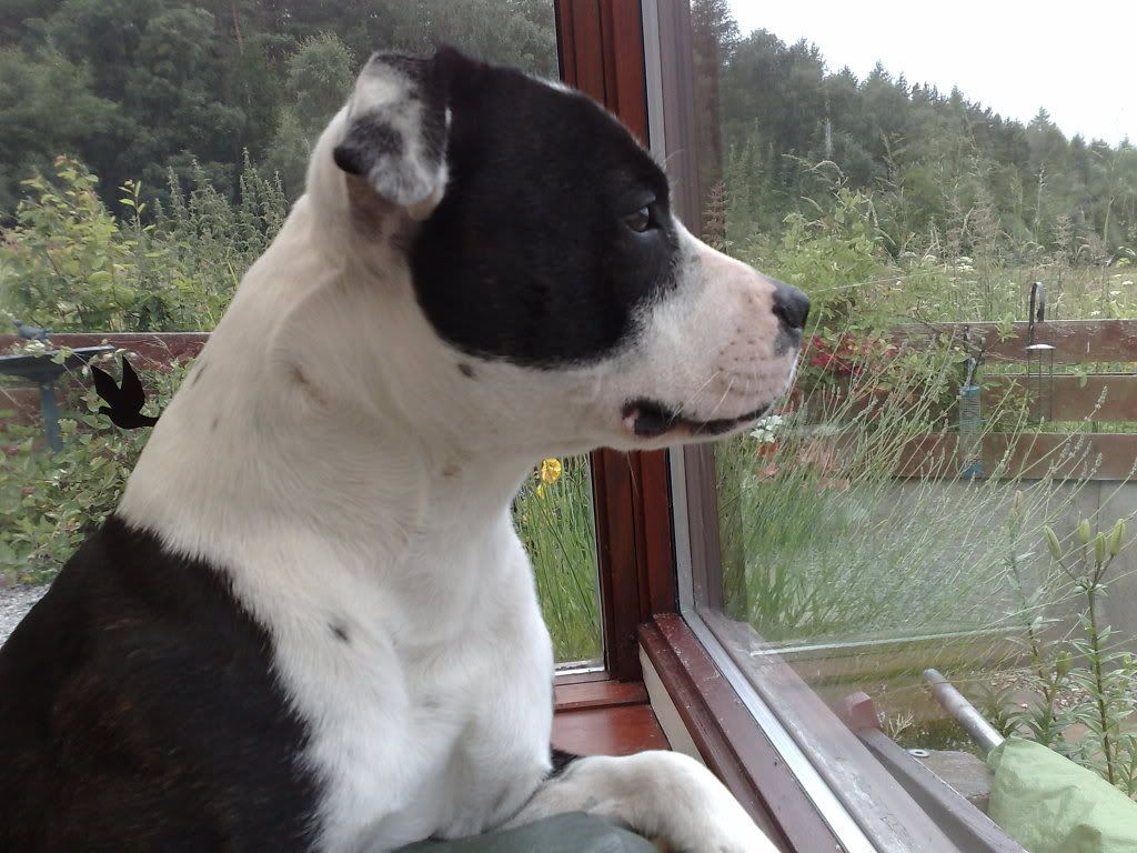 09072009847.jpg