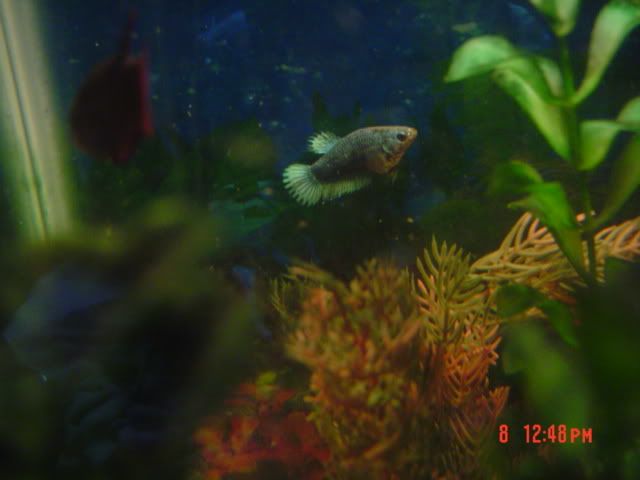 DSC03315.jpg
