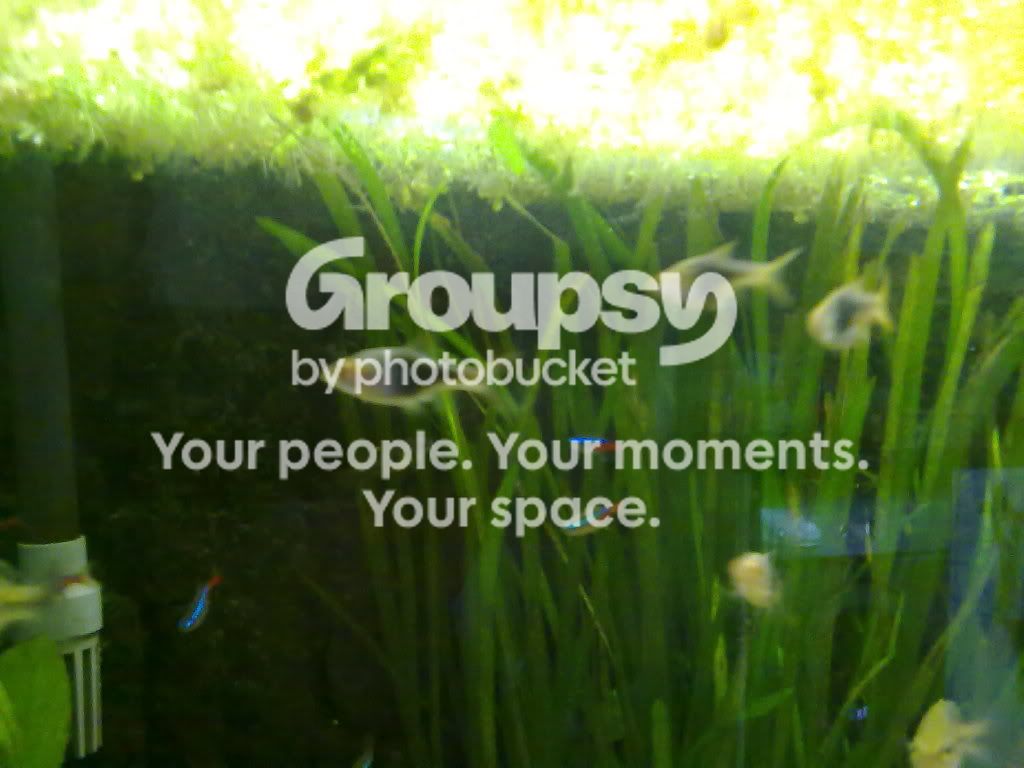 01082009080.jpg