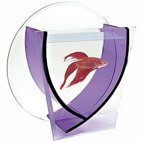 f231aquarium.jpg