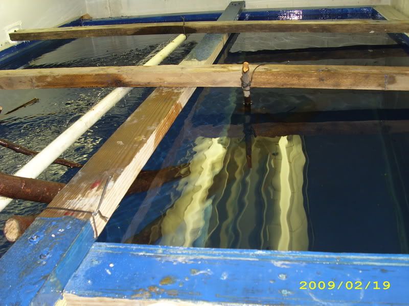 003-2.jpg