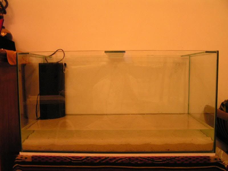 PICT1113.jpg