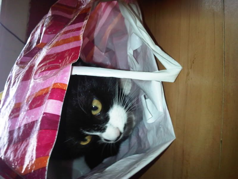 IMG00244-20100926-0955.jpg