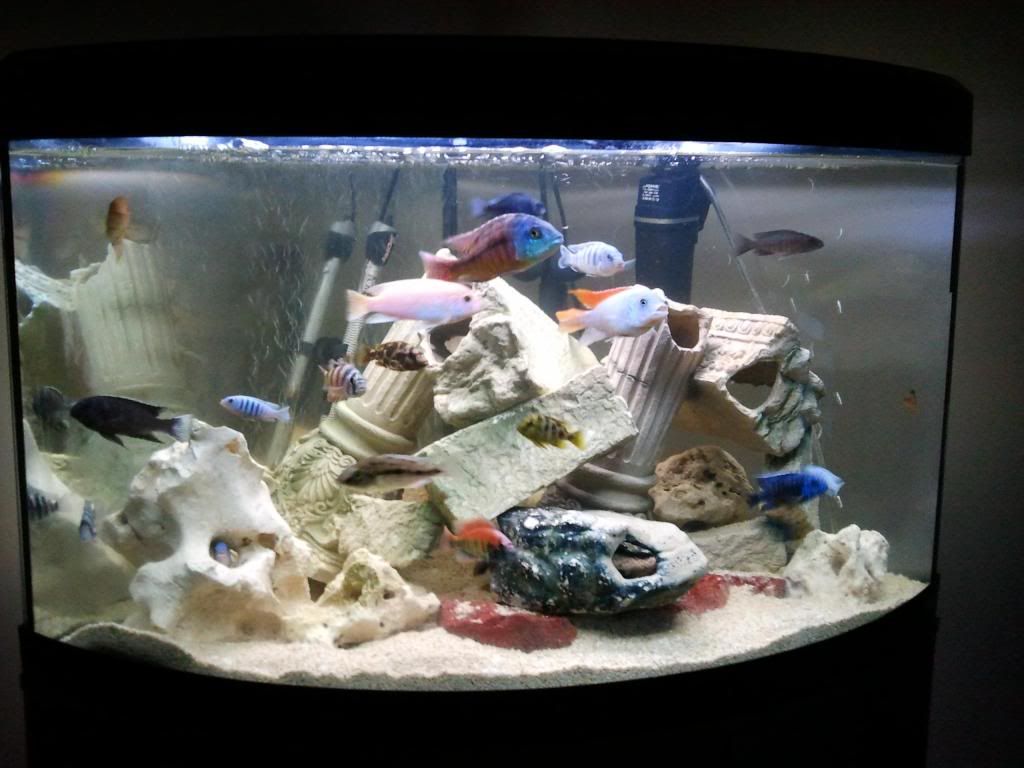 fish2.jpg