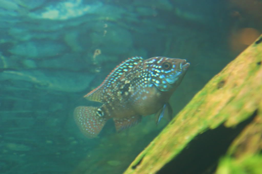 DSC07583.jpg