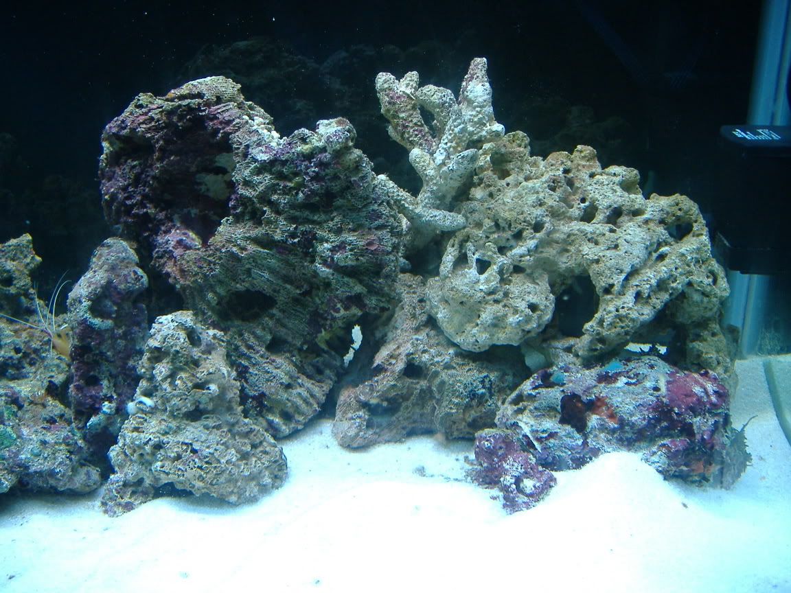 DSCF0406.jpg