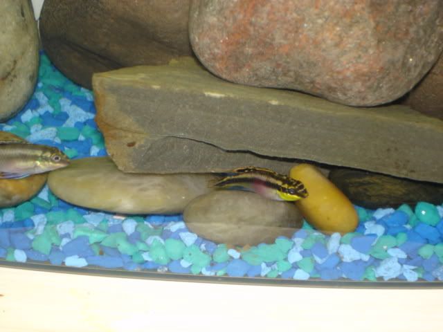 DSC02547.jpg