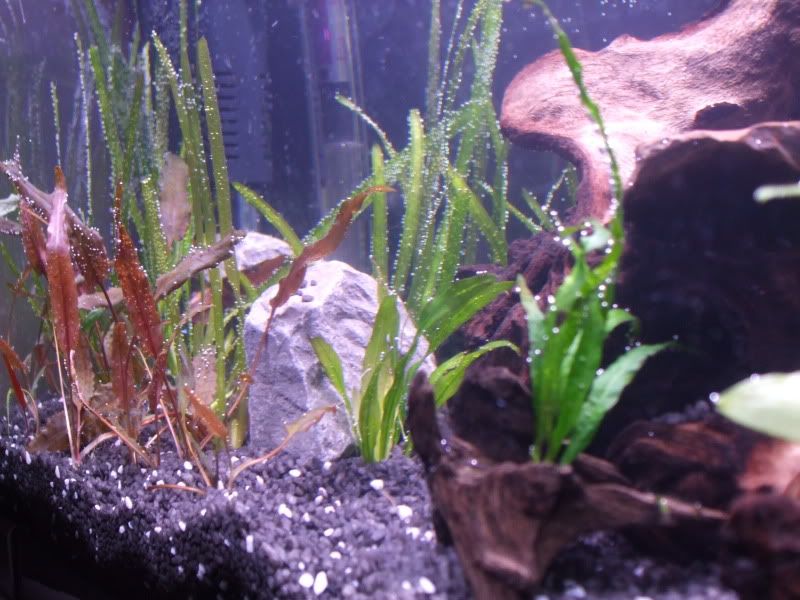 DSCF2192.jpg