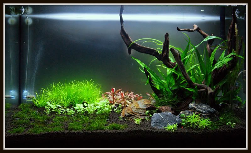 fts1.jpg