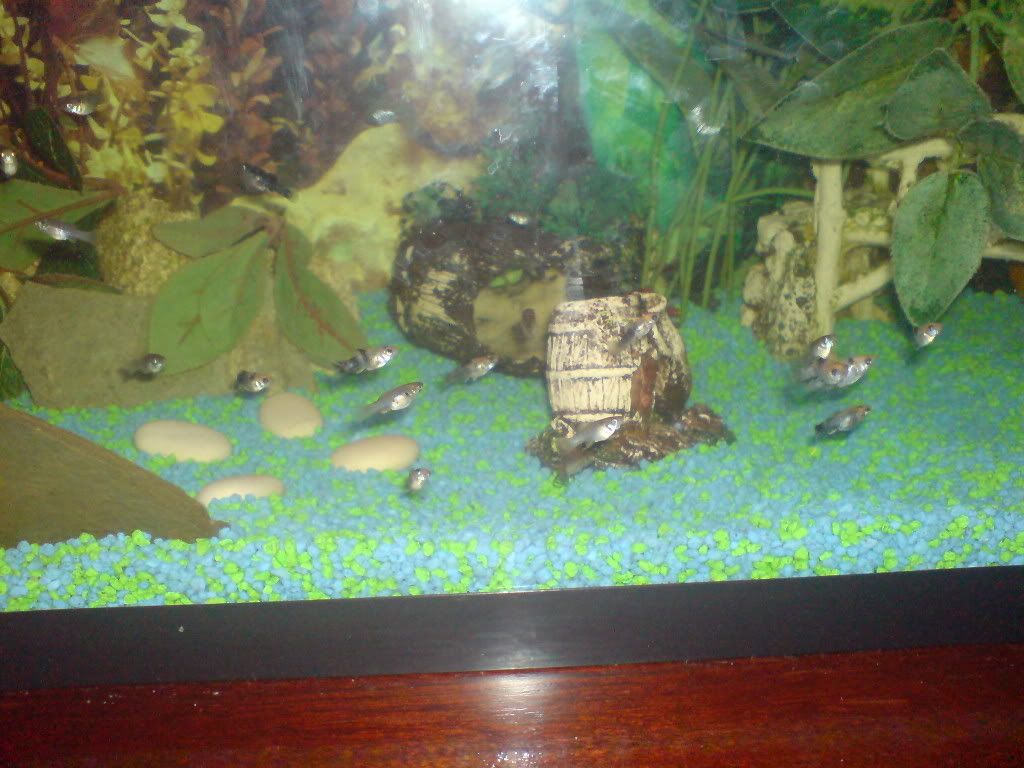 DSC01449.jpg