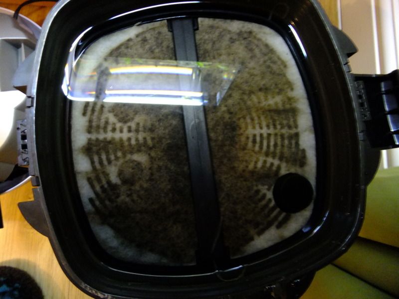 DSCF3170.jpg