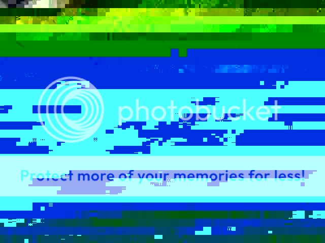 longwaystank.jpg