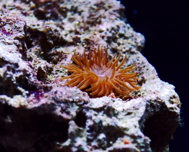 DSC_0025.jpg