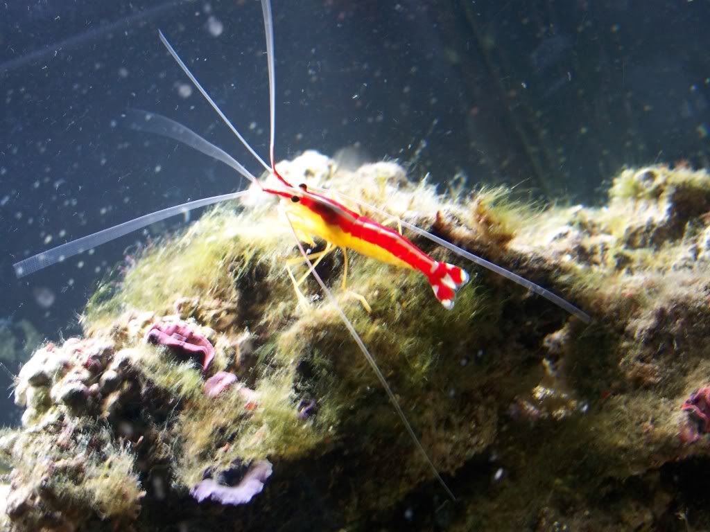100_1061.jpg