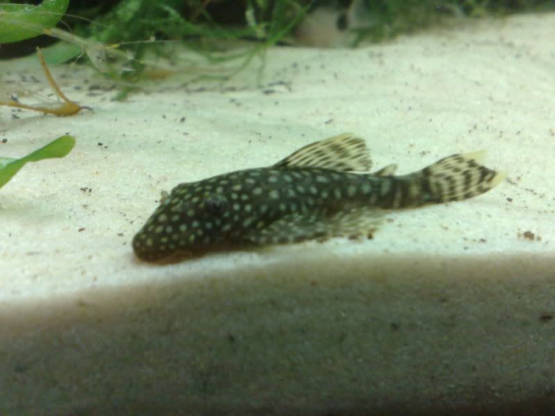 08072009539.jpg