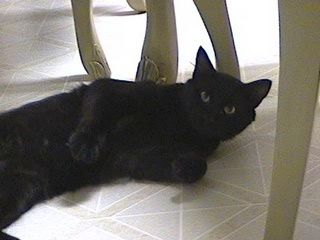 63d8f391.jpg