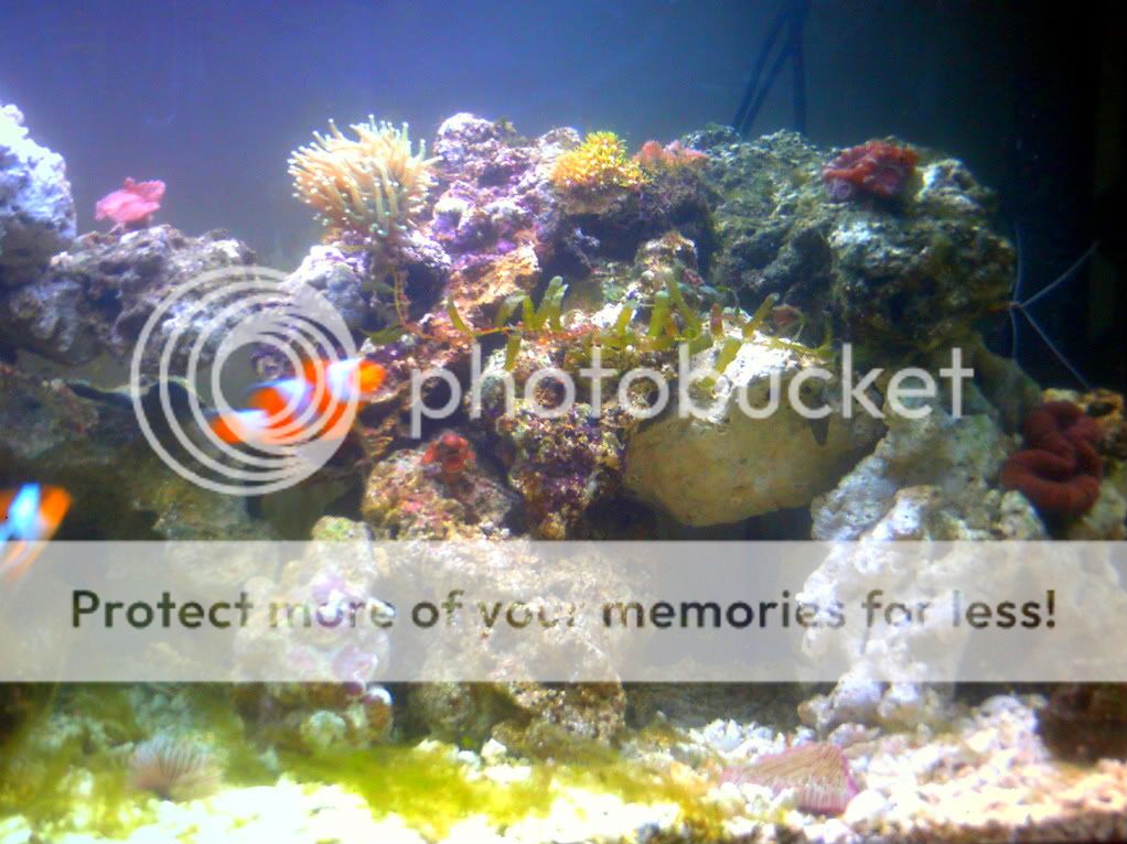 DSCF0093.jpg