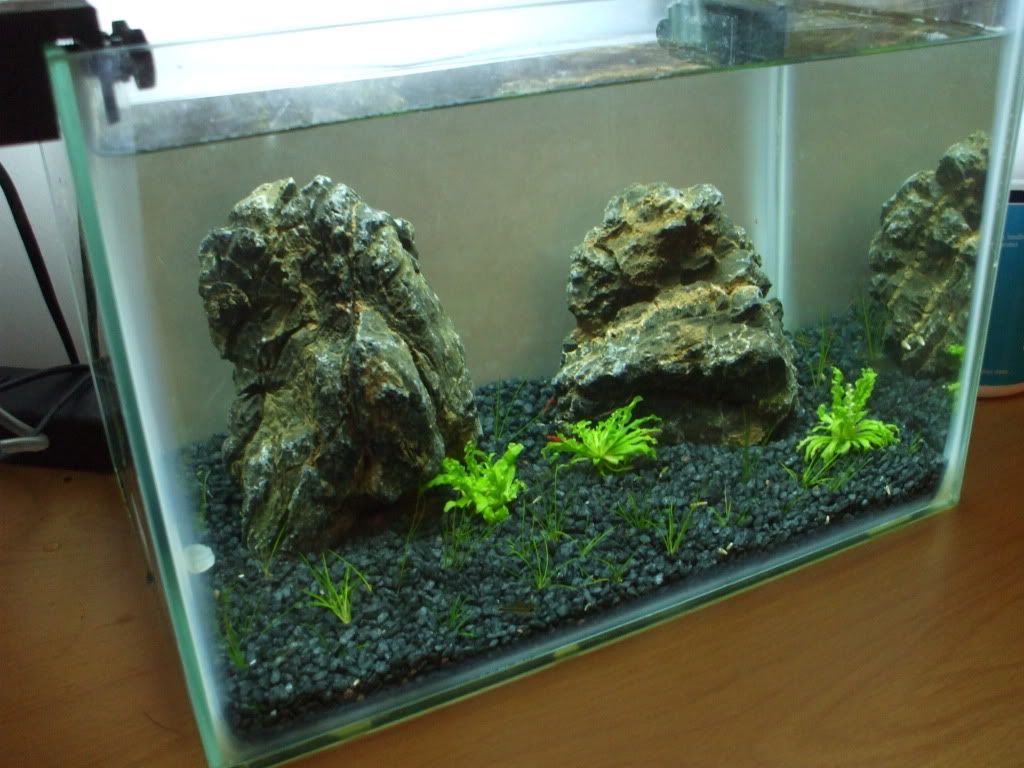 DSCF9735.jpg