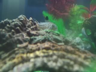 100_1084.jpg