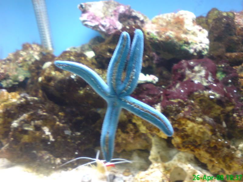 DSC00110.jpg