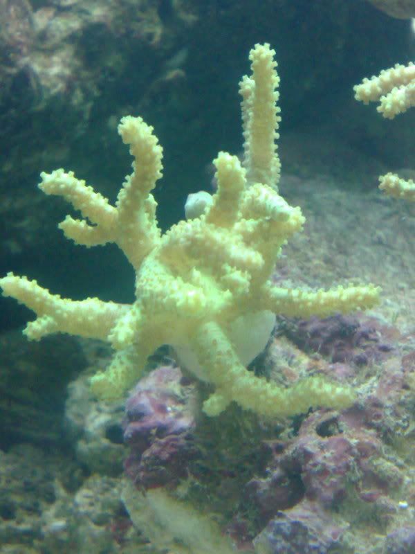 230720101386.jpg