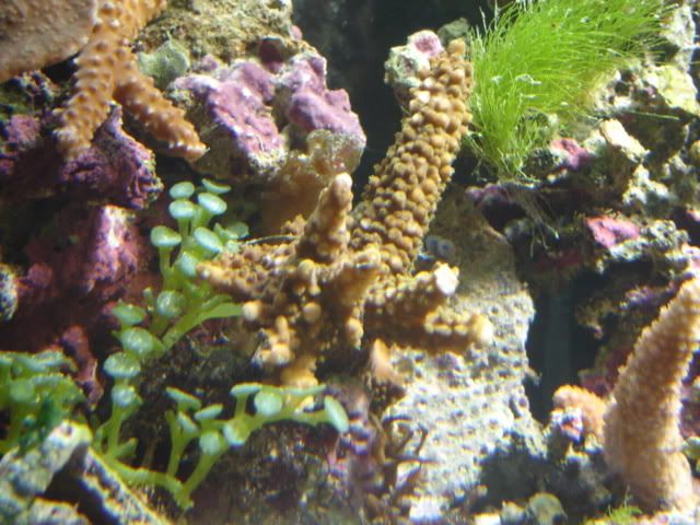 DSC06313.jpg
