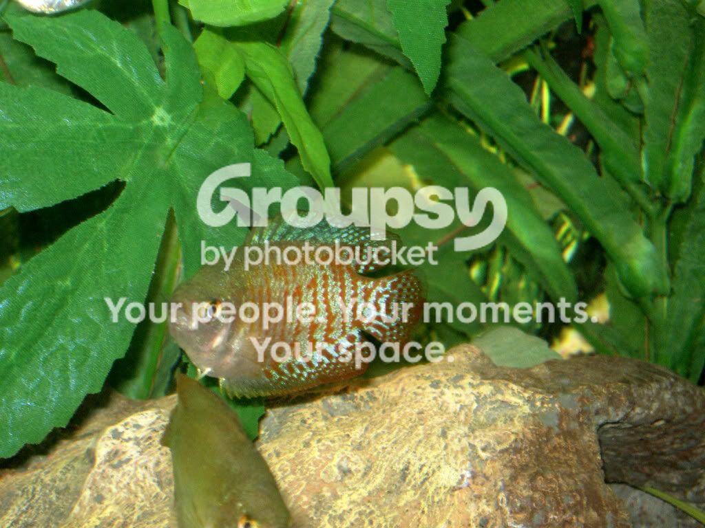 IMG_1369.jpg