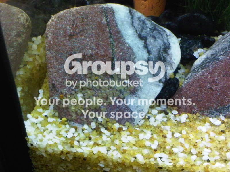 IMG00146-20100930-2135.jpg