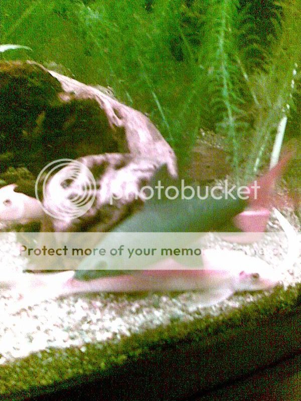 Image019.jpg