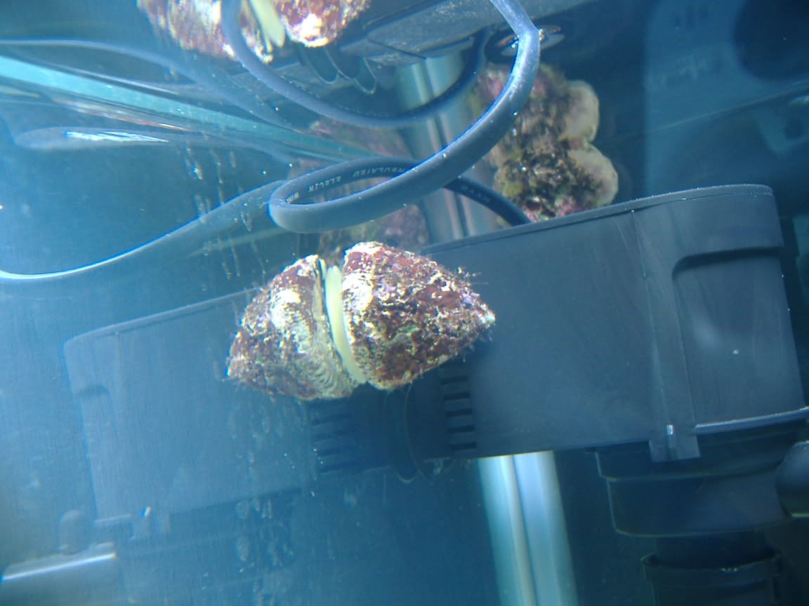 DSCF0414.jpg