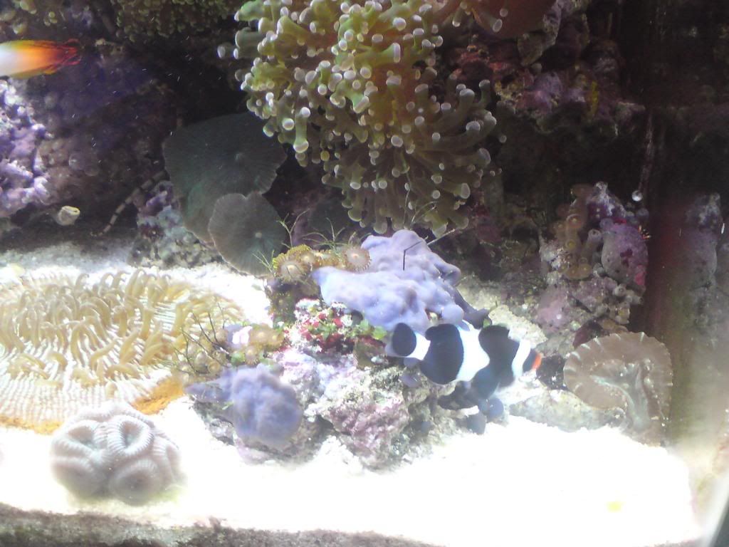 DSC00041.jpg