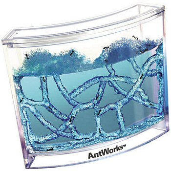 ant-works-md.jpg
