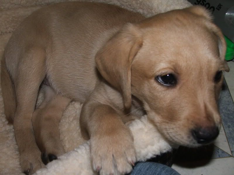 December2006032.jpg