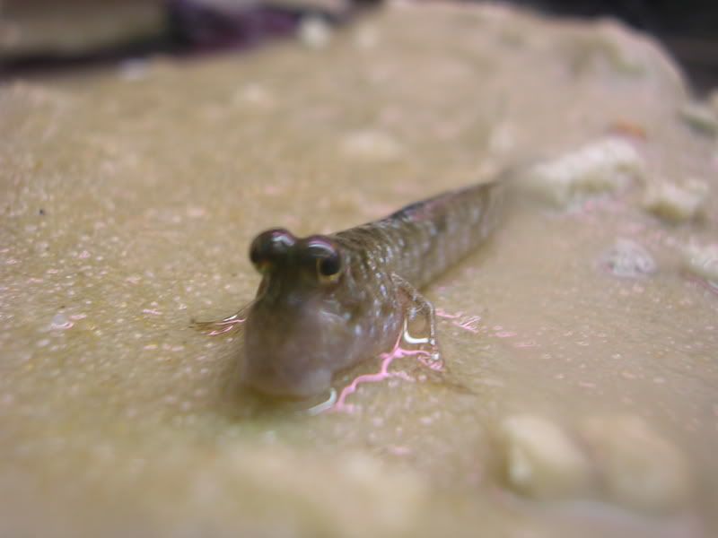 DSCN2990.jpg