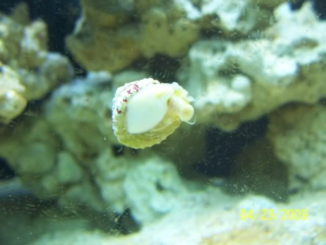 100_5450.jpg