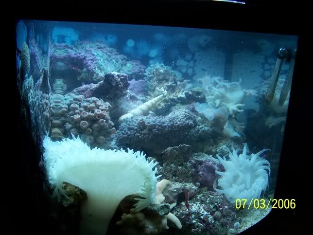 Picture078.jpg