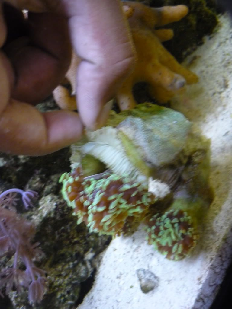 P1000481.jpg